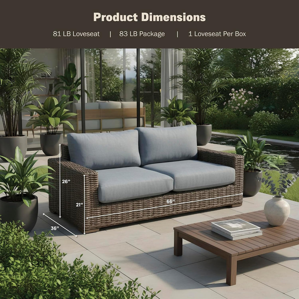 Steel Frame Wicker Cushioned Outdoor Loveseat